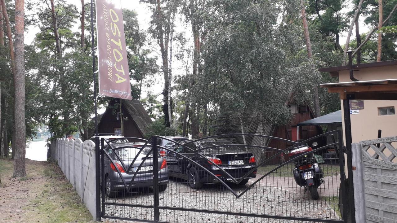 فيلا Ostoja Slesin المظهر الخارجي الصورة
